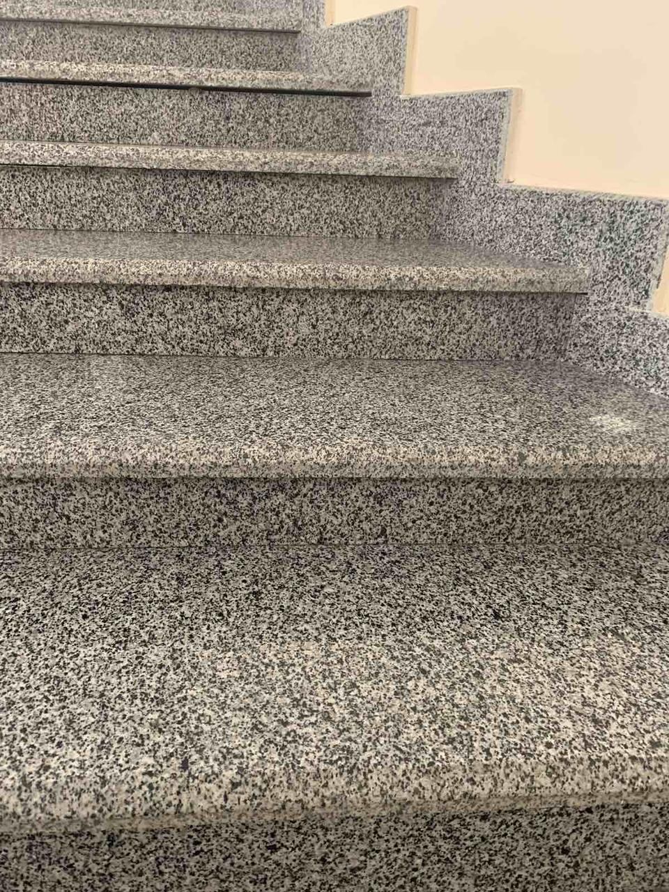 Сходи гранітні (25887461)