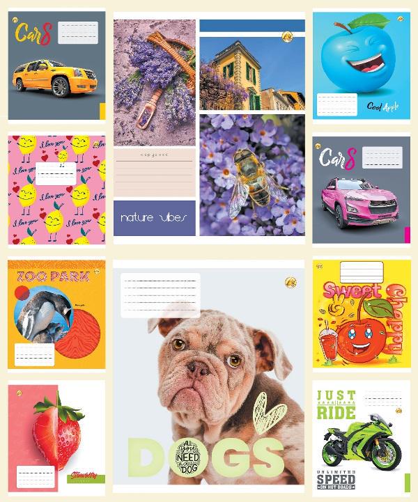 Зошити учнівські у лінійку Тетрада ТЕ22108 12ЛВ4 Мікс 12 арк. 25 шт. в уп. (MTT-146687)