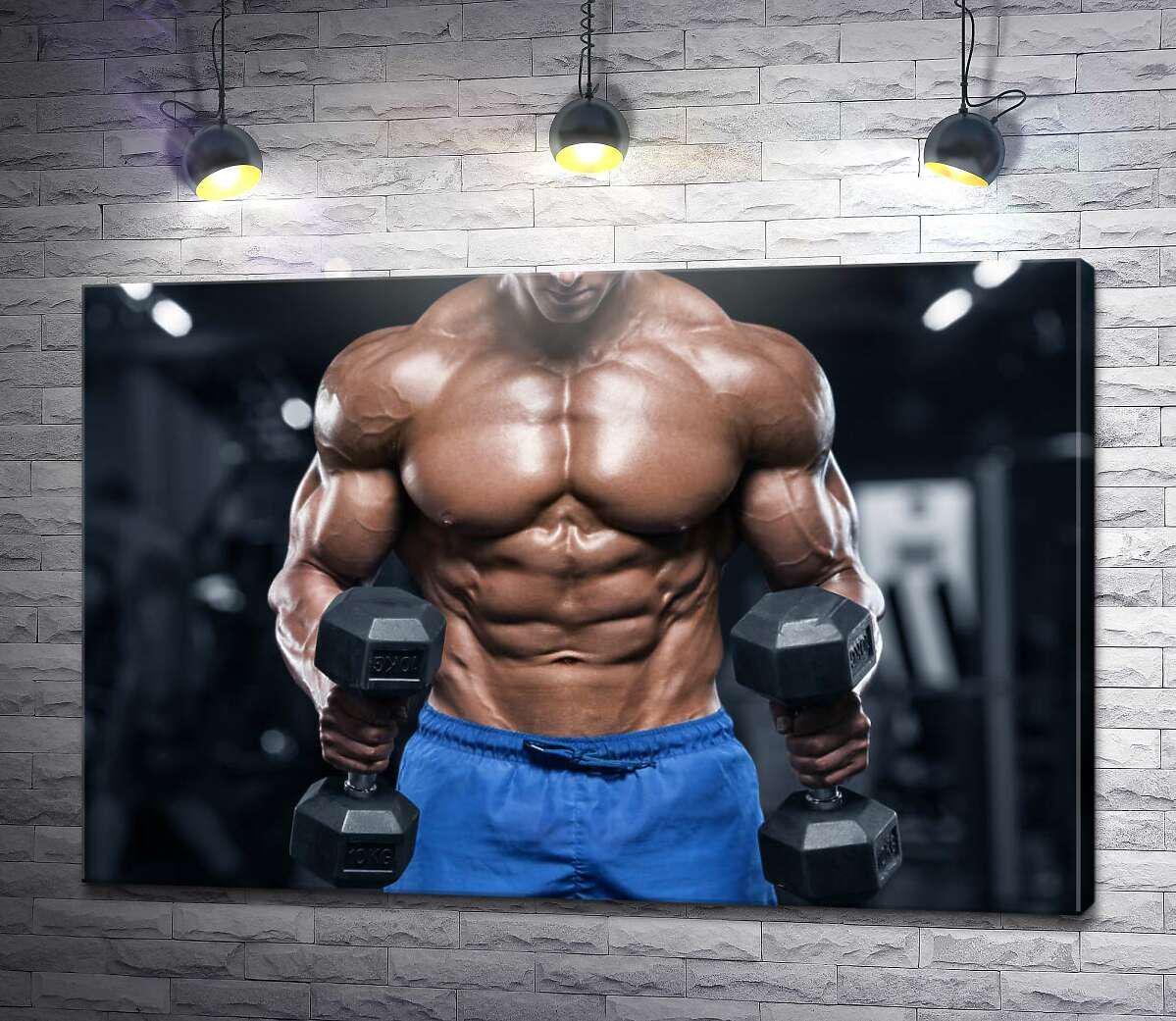 Картина ArtPoster Накачанный спортсмен держит в руках гантели 100x67 см Модуль №1 (004212) Картина ArtPoster Накачанный спортсмен держит в руках гантели 100x67 см Модуль №1 (004212)