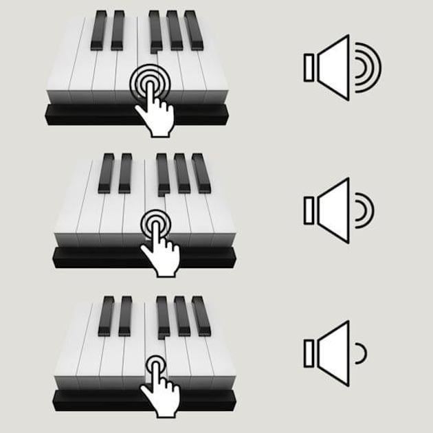 Синтезатор Schubert Preludio Keyboard (10034897) - фото 11
