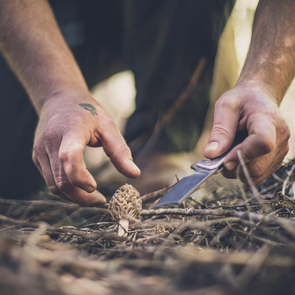 Ніж складаний Gerber Asada Folder Micarta, Чорний - фото 6 Ніж складаний Gerber Asada Folder Micarta, Чорний - фото 6