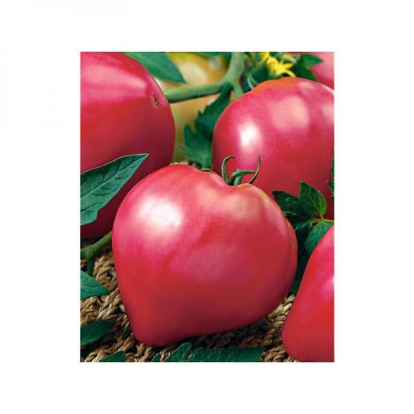 Семена Томат Фатима ТМ Агроном ТД Гекса-Украина 30 шт. 01-25-163 (IR00623)