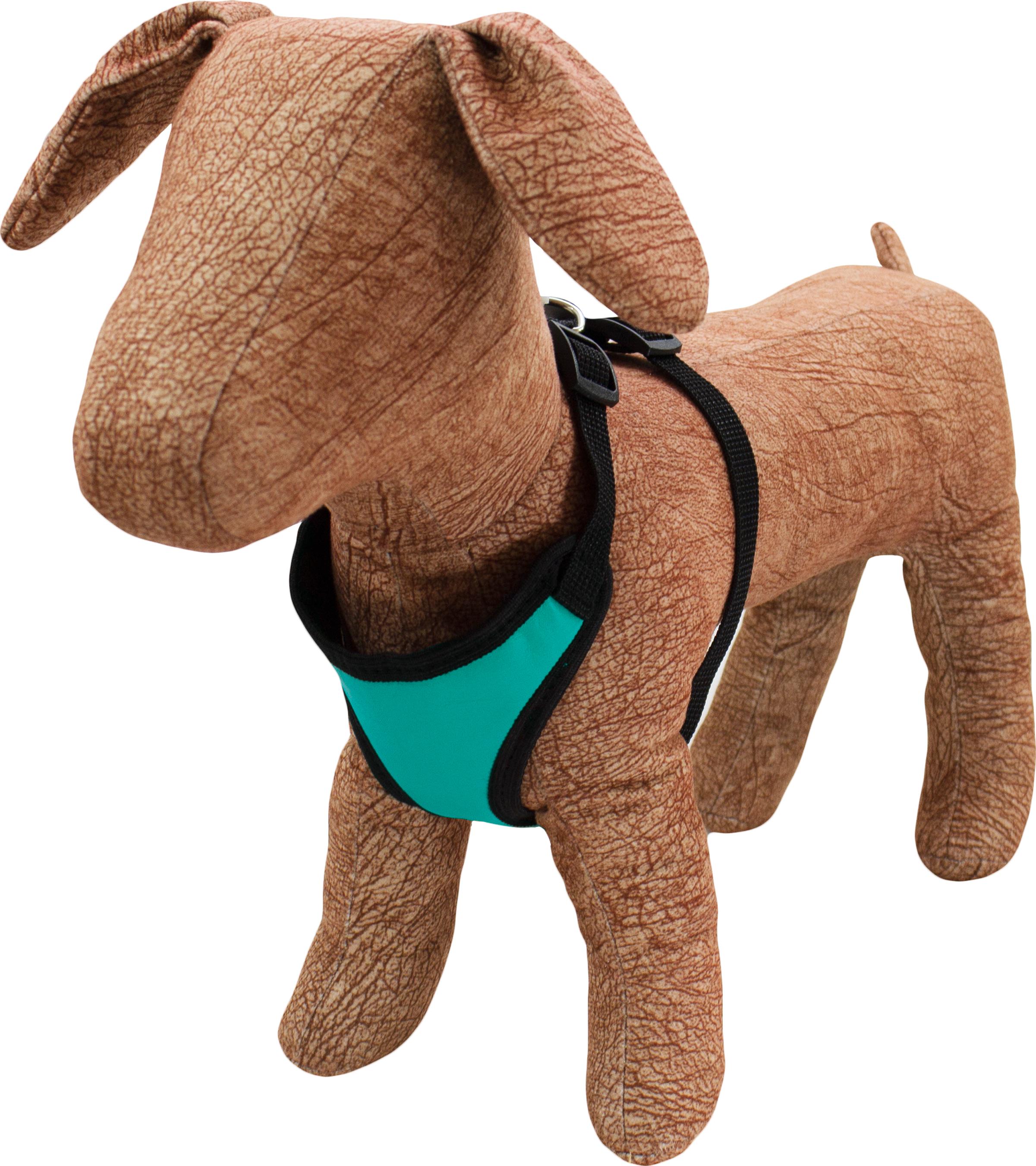 Нагрудник с сеткой Lucky Pet №0 кожаный 16-19/20-33 см Голубой (4820224218908)