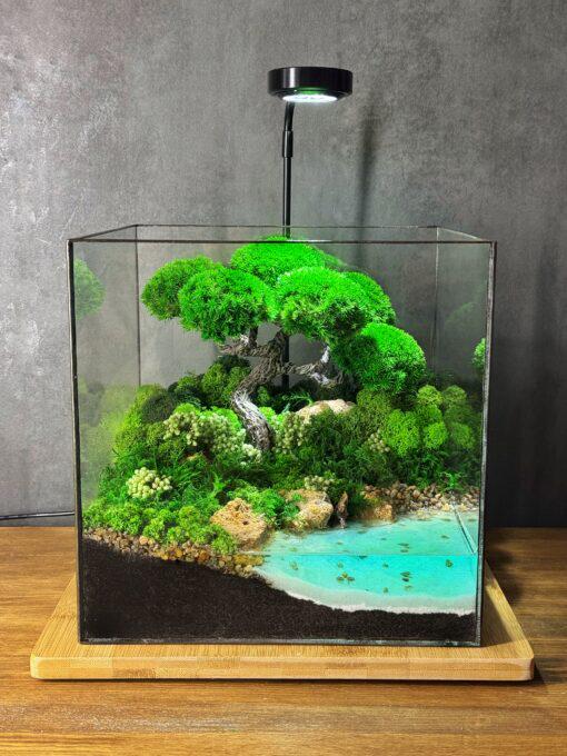 Флораріум Савана з лампою без догляду 22 см Флораріум Савана з лампою без догляду 22 см