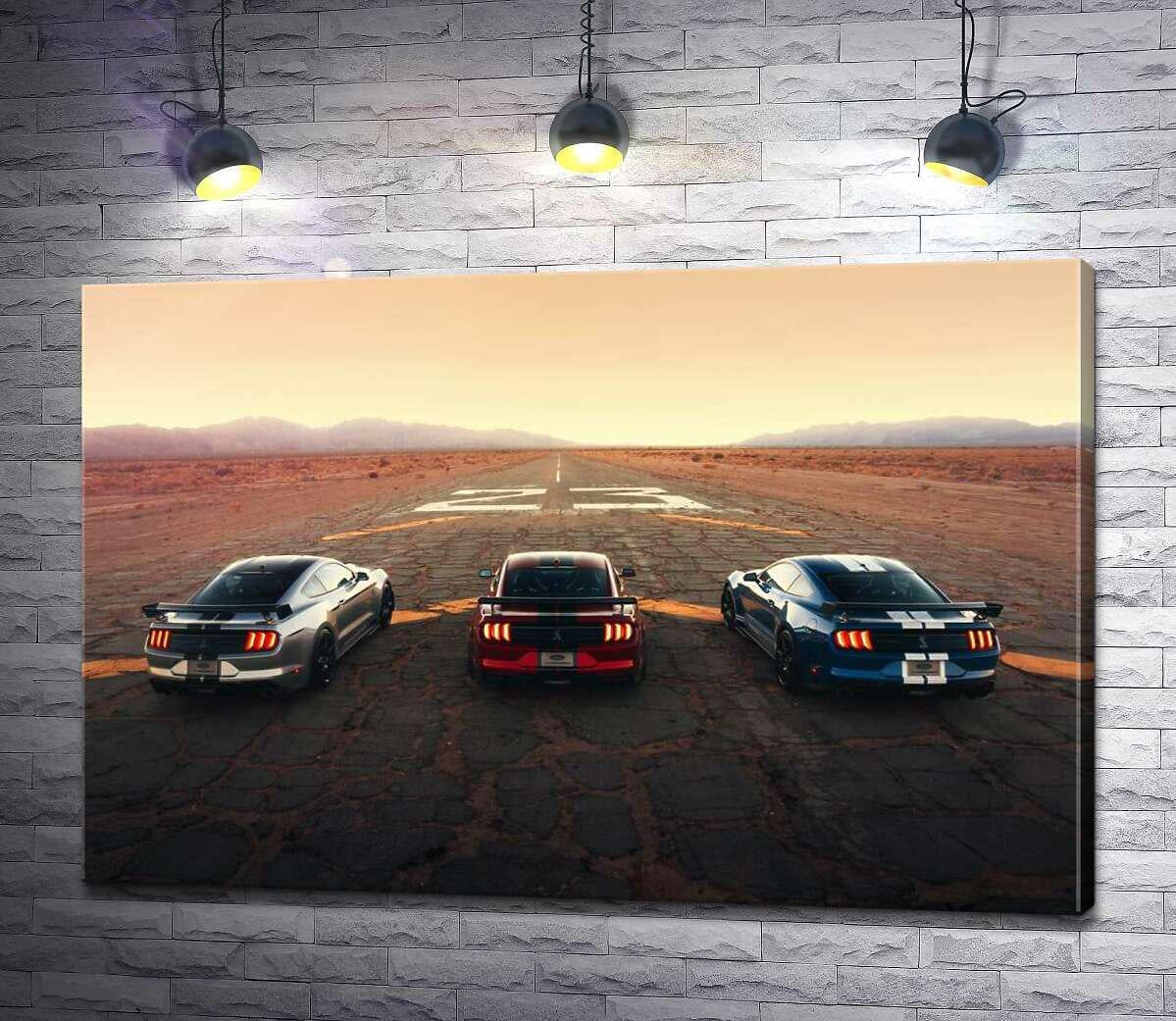 Картина ArtPoster Гоночные автомобили Ford Mustang Shelby GT500 на старой дороге 130x87 см Модуль №1 (000956)
