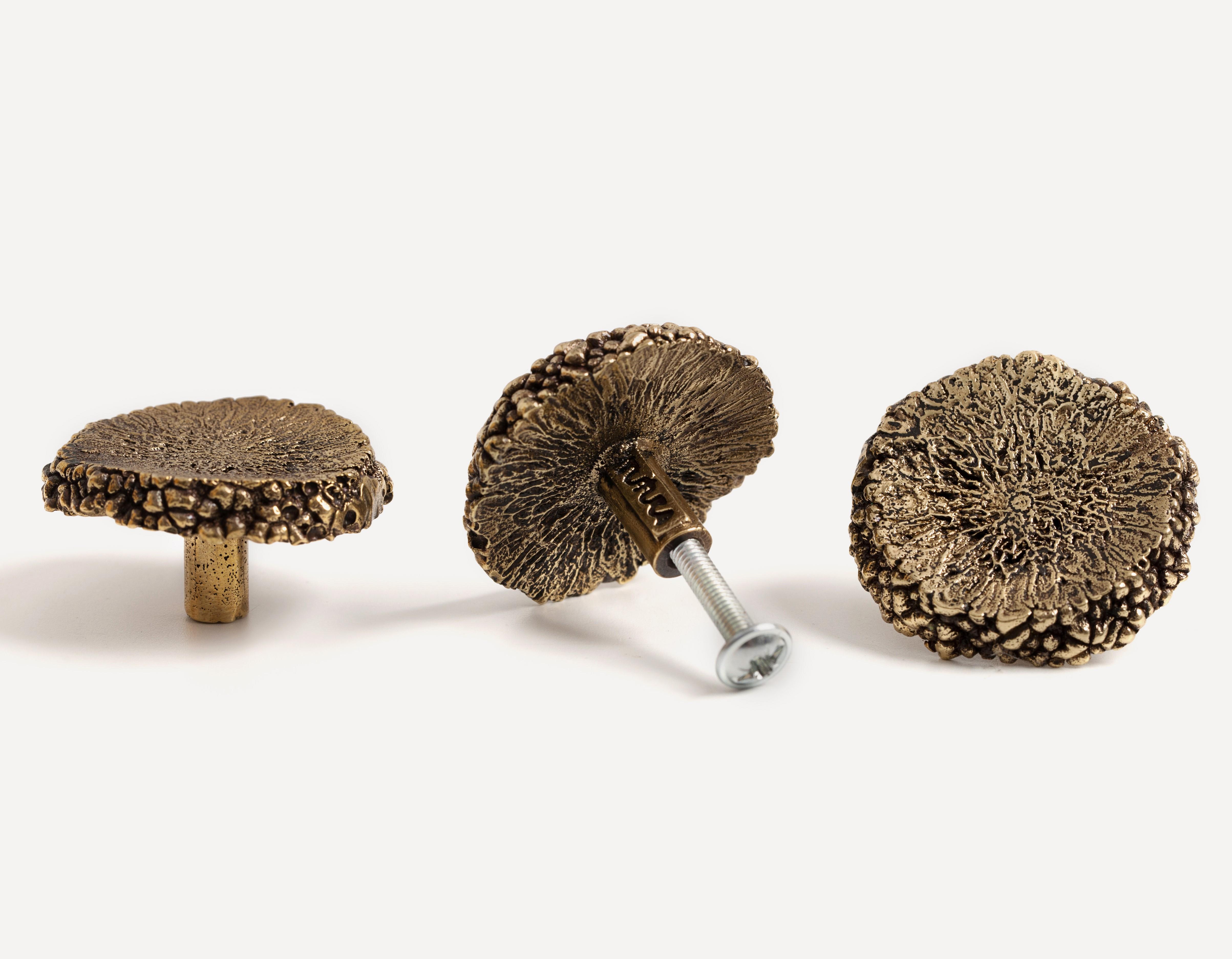 Меблева ручка "Авокадо" - фото 2