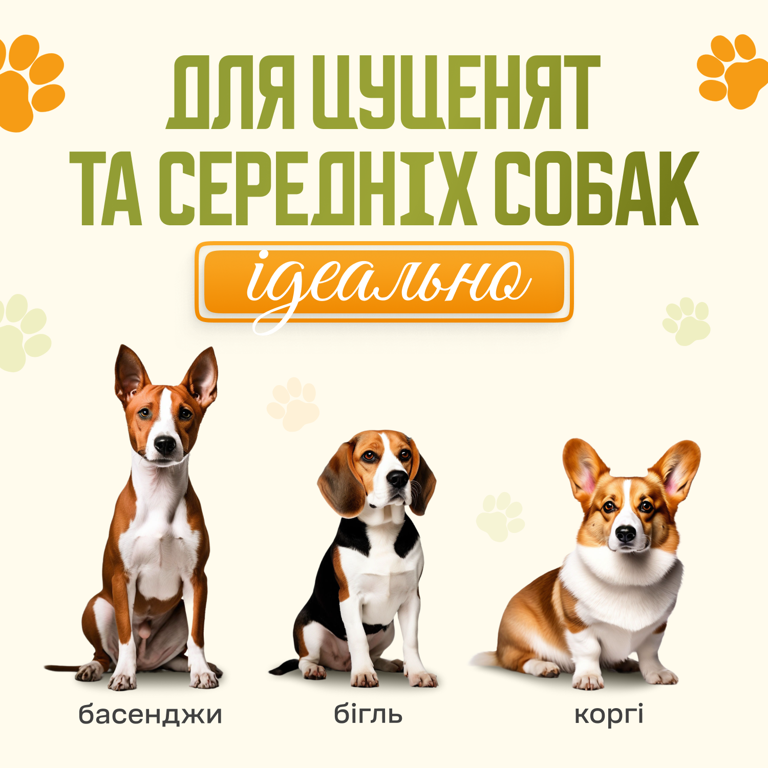 Лоток під пелюшку для собак KALYU 90х60 см Бежевий (lotok.90x60.beige) - фото 3