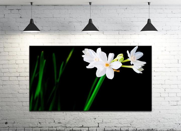 Картина на холсте DK Нарциссы 50х100 см (DKP50100-c689)