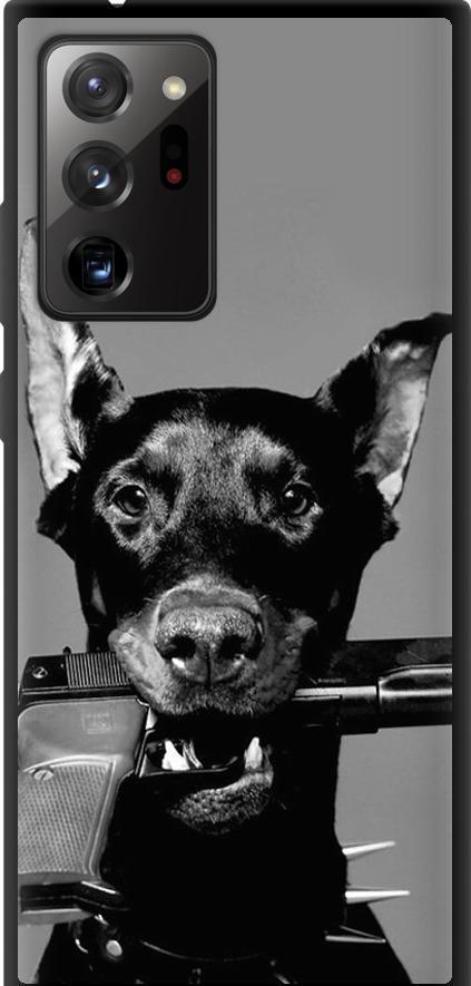 Чехол на Samsung Galaxy Note 20 Ultra Доберман (2745b-2051-42517)