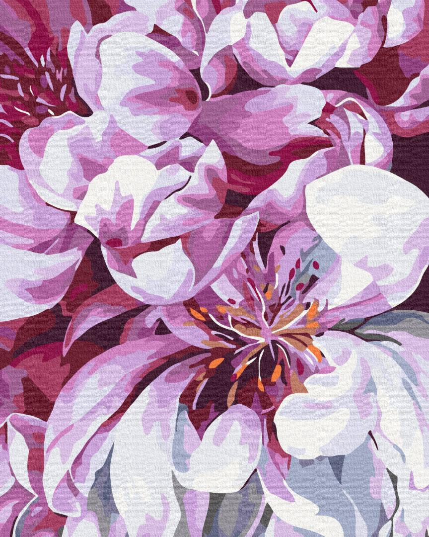 Картина за номерами Brushme Квіти у макро зйомці 48x60 см (BS51712L)