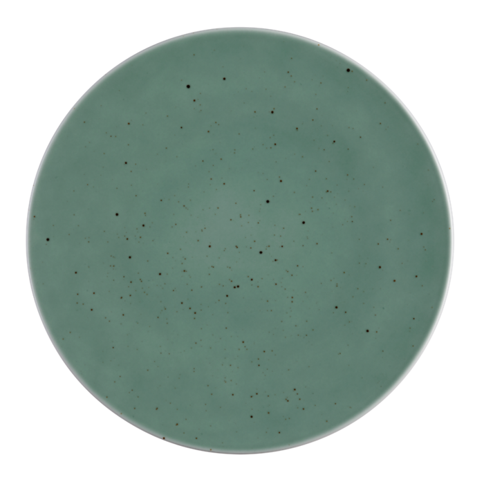 Тарелка плоская Seltmann Weiden Country Life Petrol Coup Fine Dining 28 см