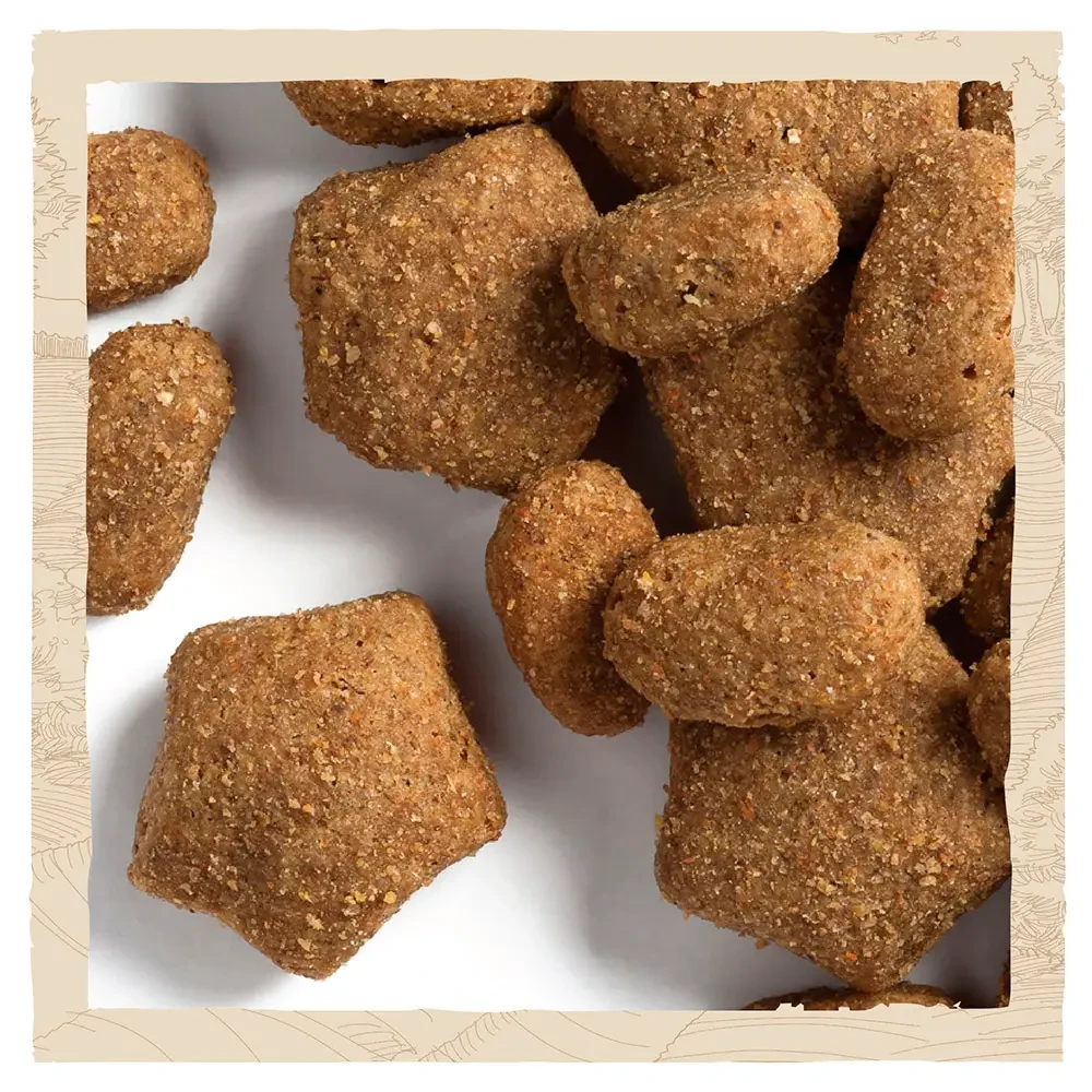 Сухой корм DOG CHOW Active 1+ для собак с повышенной активностью курица 14 кг (7613034487933) - фото 6 Сухой корм DOG CHOW Active 1+ для собак с повышенной активностью курица 14 кг (7613034487933) - фото 6