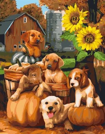 Картина по номерам Собачки у подсолнуха (GX21474)