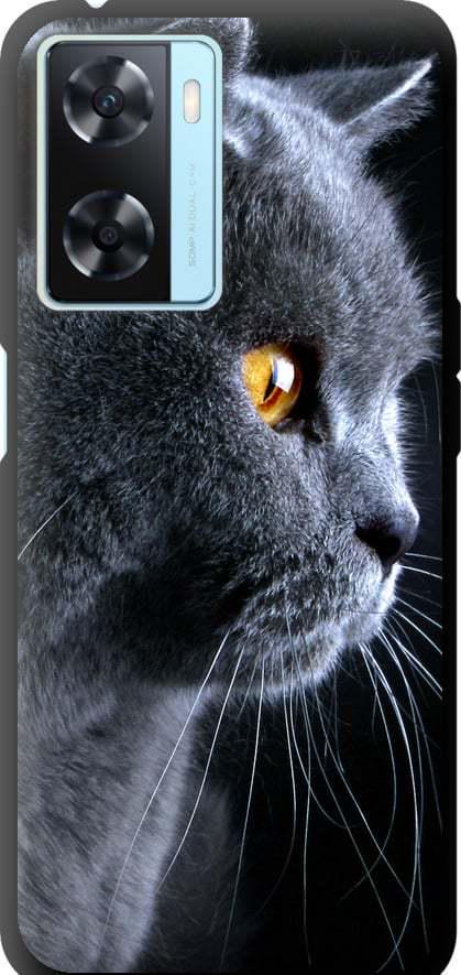 Чехол на Oppo A57s Красивый кот (3038b-2931-42517)
