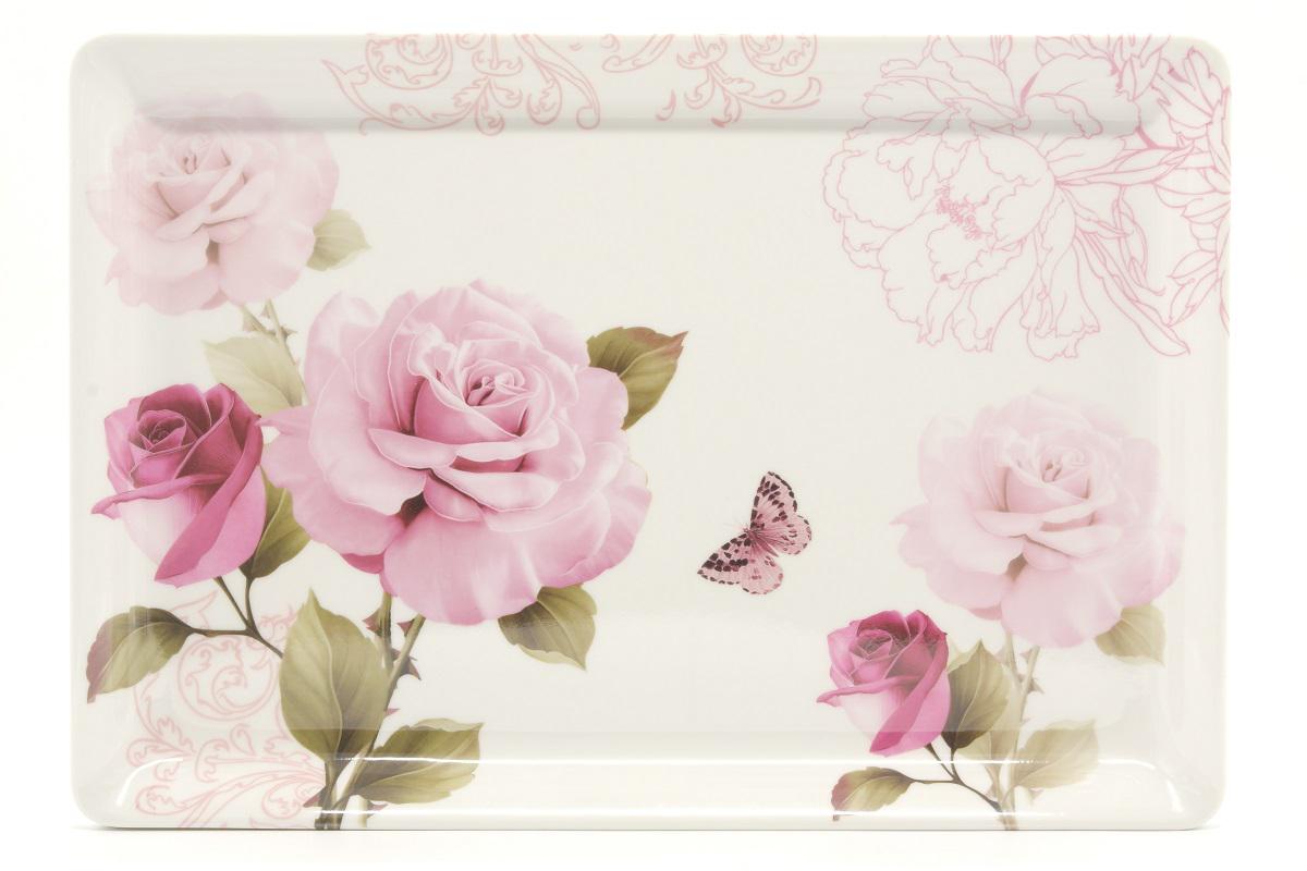 Піднос пластиковий A-Plus 5647 46x32 см (DR001449)