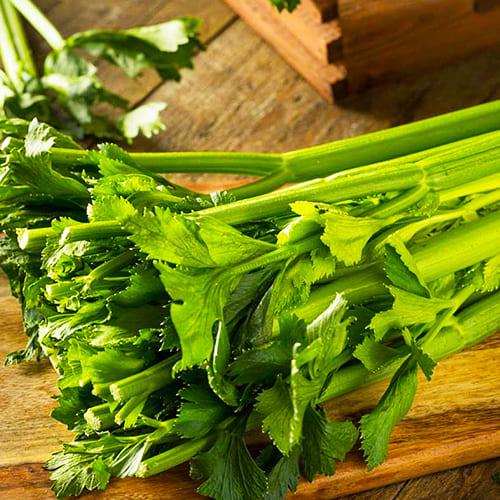 Семена Селера Florium Паскаль черешковий (10811)