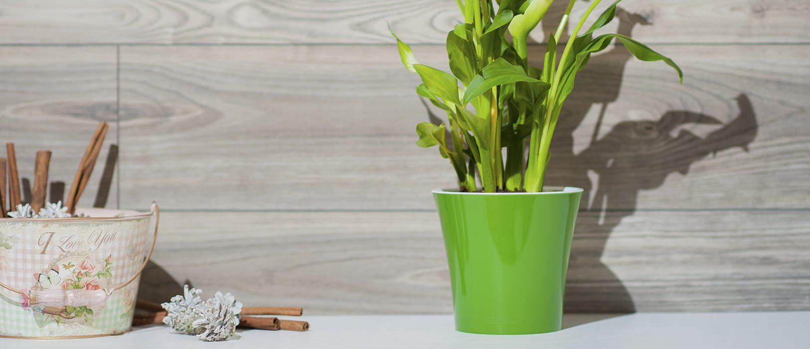 Горшок для цветов ARTE 3,5 л Зеленый/Золотой/Белый - фото 3