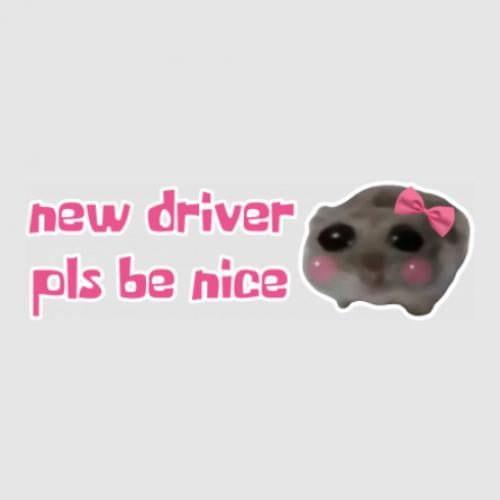 Стикер New driver pls be nice 25x7,8 см (29095262) Стикер New driver pls be nice 25x7,8 см (29095262)