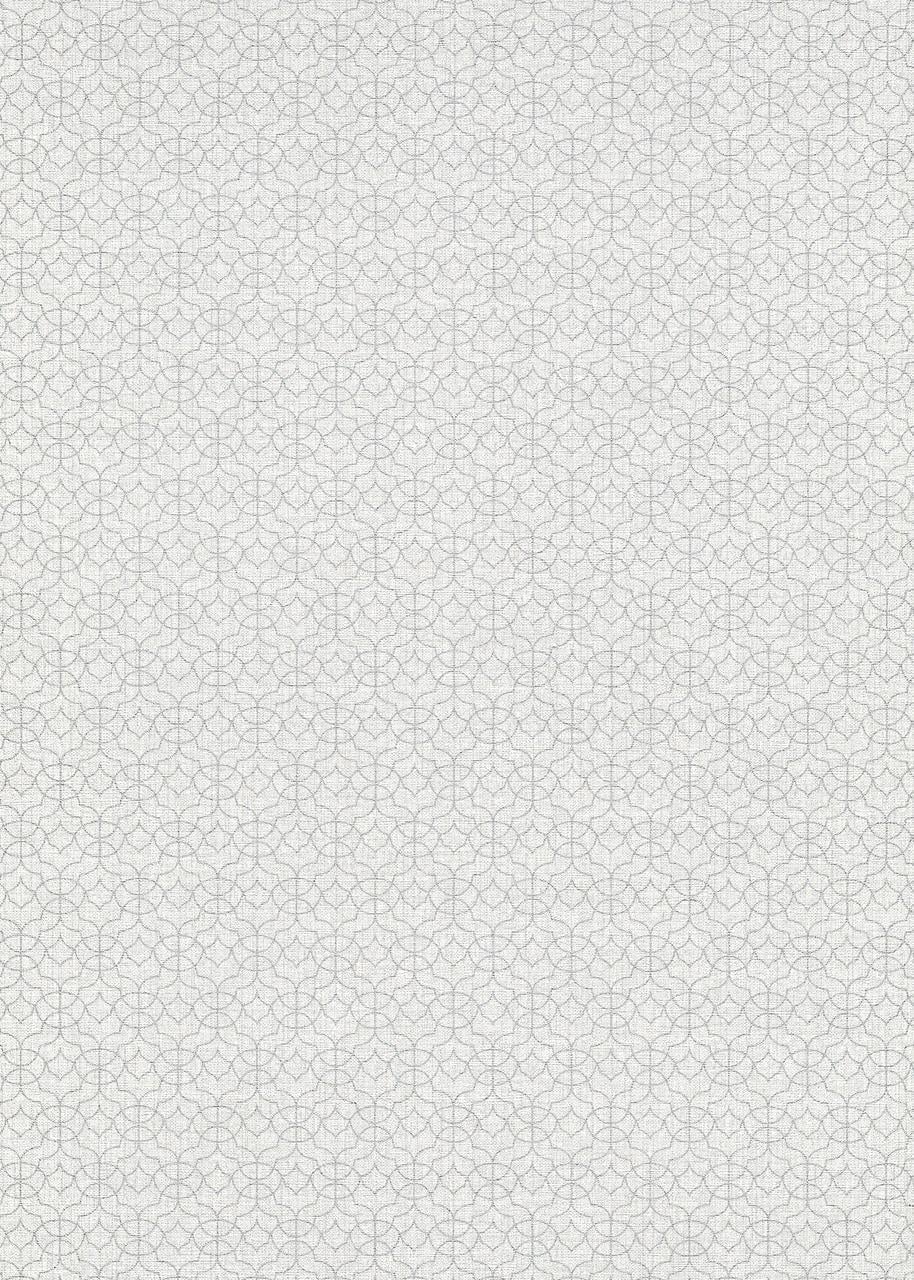 Обои флизелиновые Erismann Code Nature 12108-31 винил горячего тиснения 1,06х10,05 м Серый Обои флизелиновые Erismann Code Nature 12108-31 винил горячего тиснения 1,06х10,05 м Серый