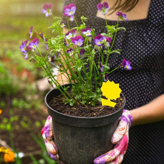 Липка еко пастка для комах Метелик Квітка двостороння 1 шт. (21233892) - фото 3 Липка еко пастка для комах Метелик Квітка двостороння 1 шт. (21233892) - фото 3