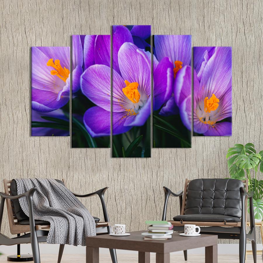 Картина цветы и растения Весенние цветы крокусы 137x85 см (A985-5)
