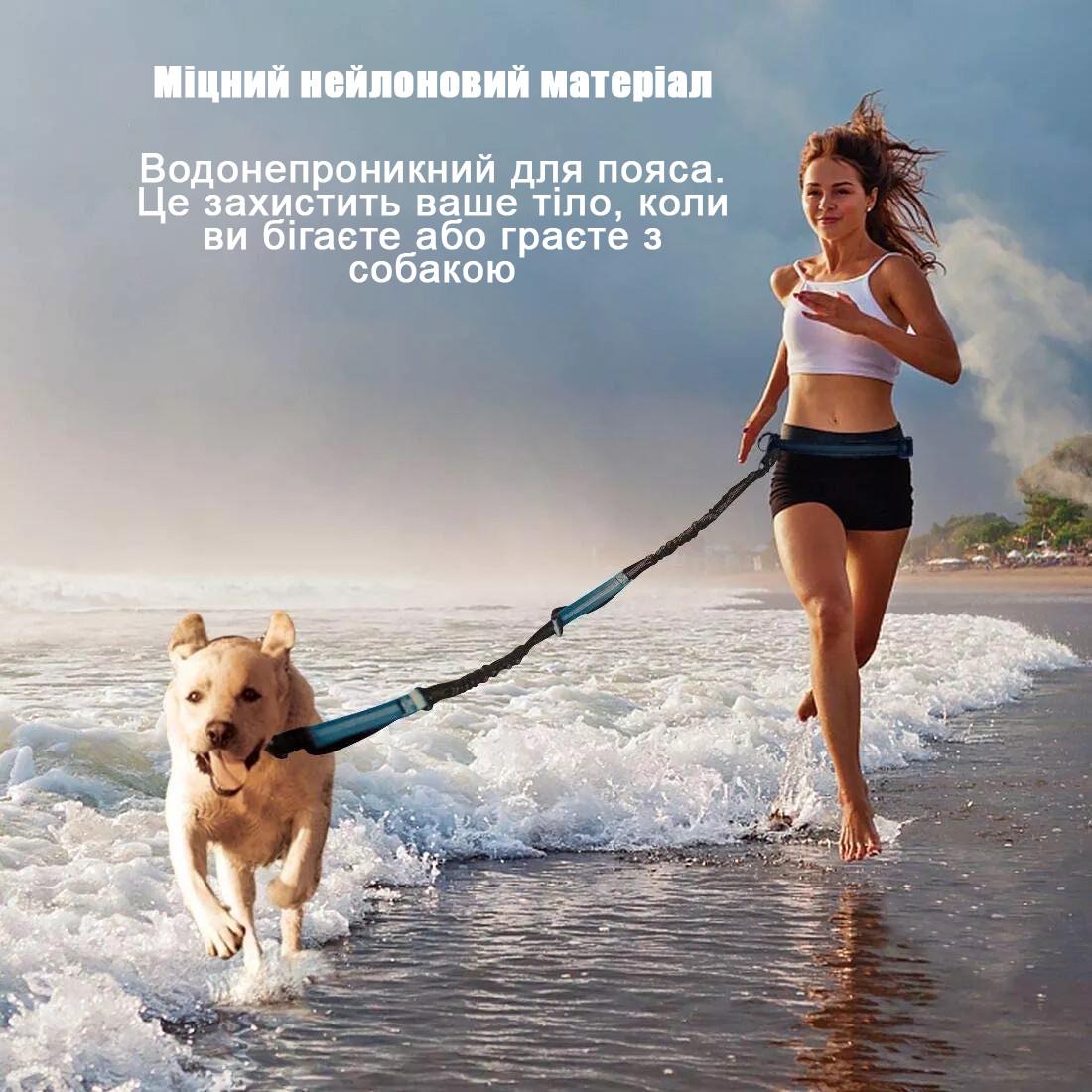 Поводок-пояс Harness для бега с собакой 160-260 см Синій (2330185393) - фото 6 Поводок-пояс Harness для бега с собакой 160-260 см Синій (2330185393) - фото 6