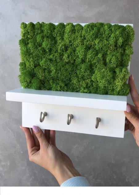 Ключница настенная MiNature Moss стабилизированный мох (1580746533)