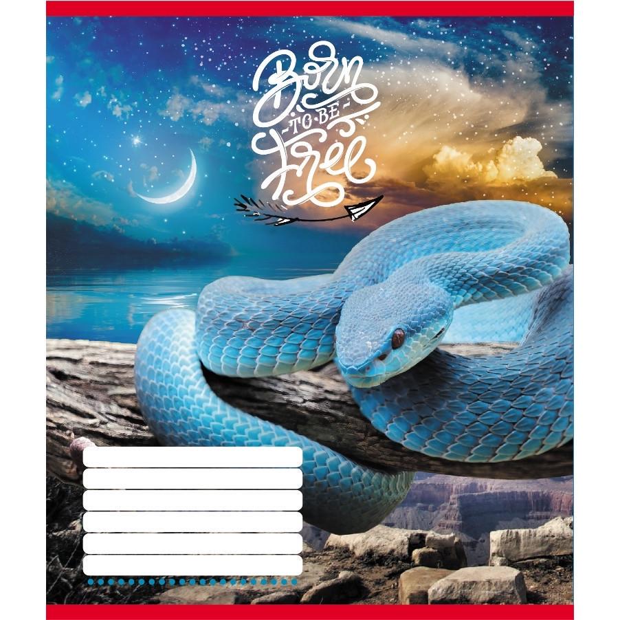 Зошит учнівський Leader Тварини 018-530247K-5 в клітинку 18 арк. (RLT55221)