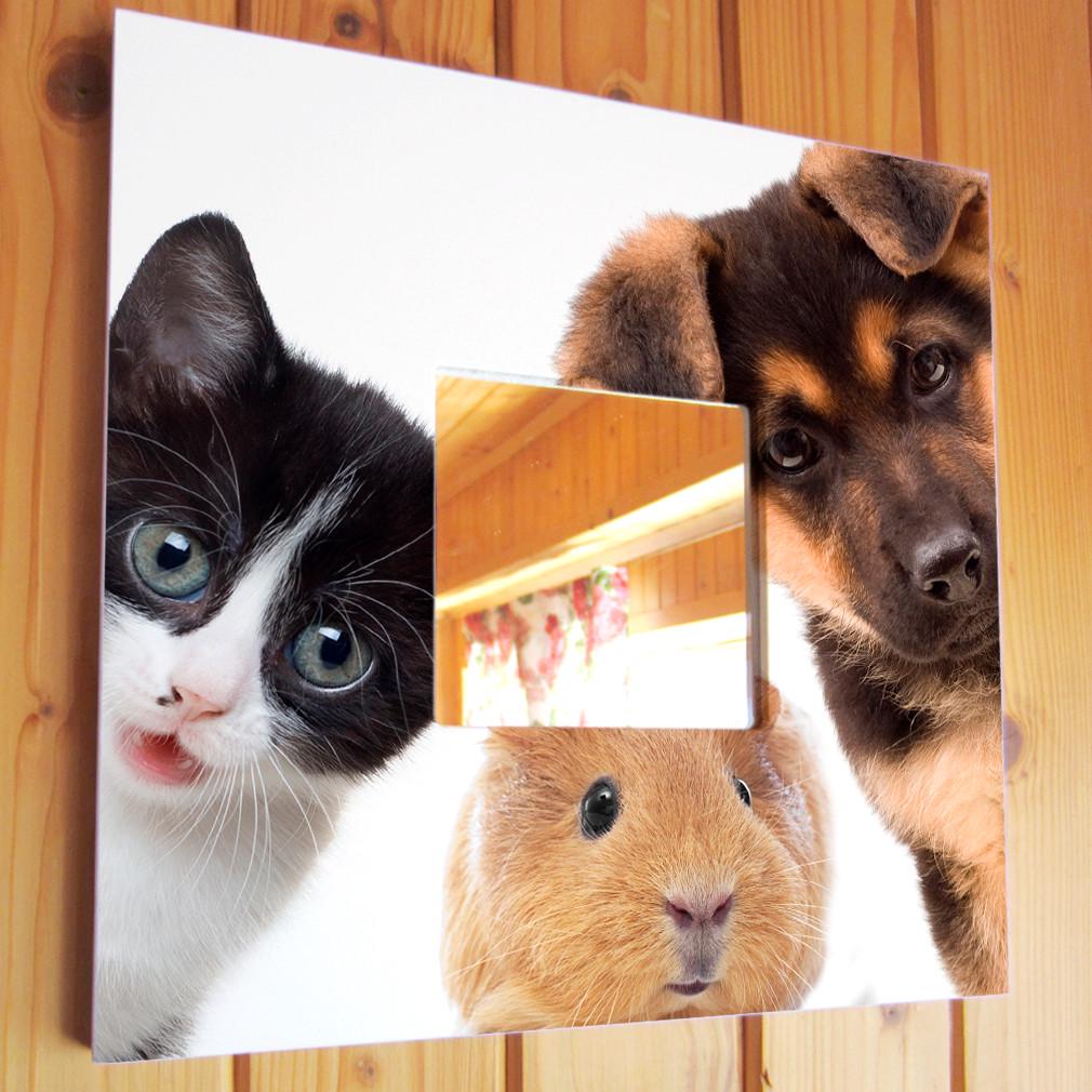 Зеркало декоративное Щенок котенка и морская свинка 260х260 мм (M03692)