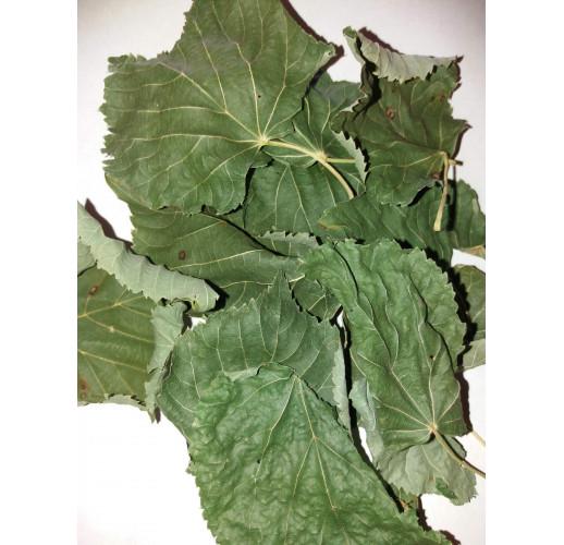 Сушене листя липи Herbs Zaporoje 5 кг (С0094)