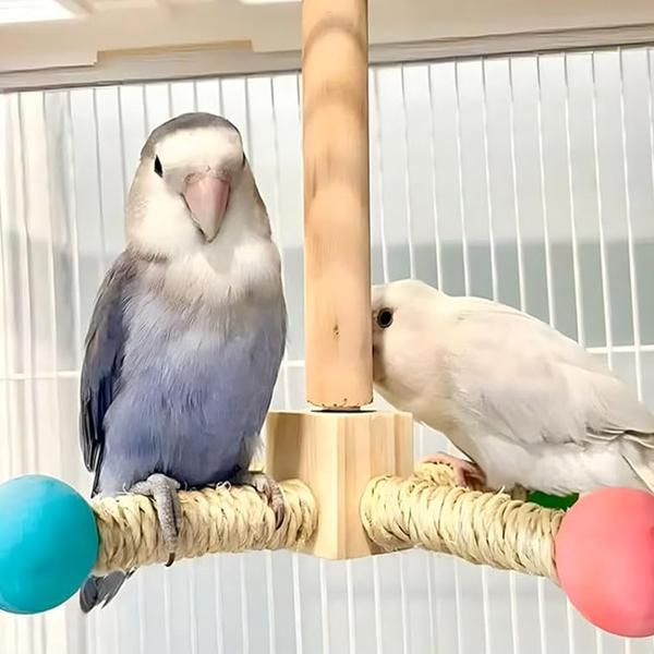 Игрушки для попугаев Качели вращающиеся из натурального дерева (J00175) - фото 9 Игрушки для попугаев Качели вращающиеся из натурального дерева (J00175) - фото 9