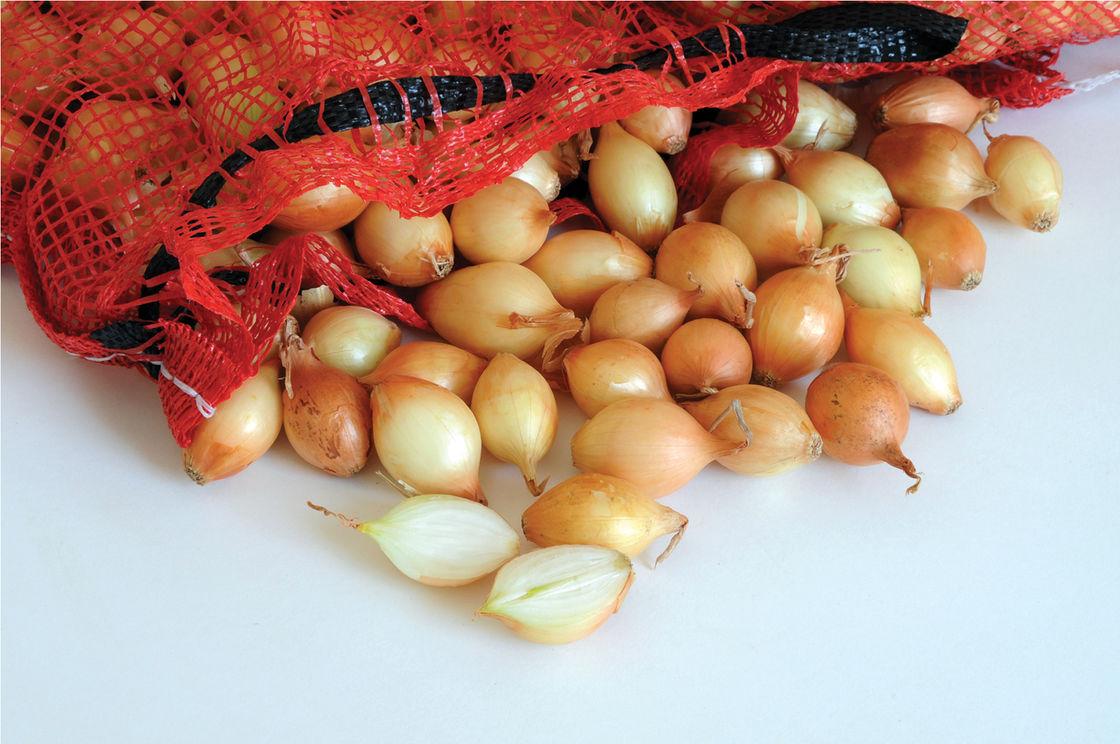 Цибуля сівок Ефект 10-21 мм 100 г (2098557563)