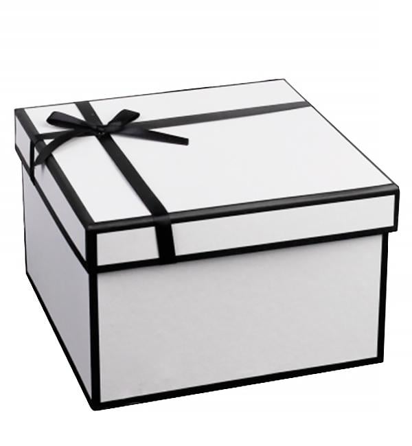 Подарочная коробка Charleston 21x21x13 см Белый