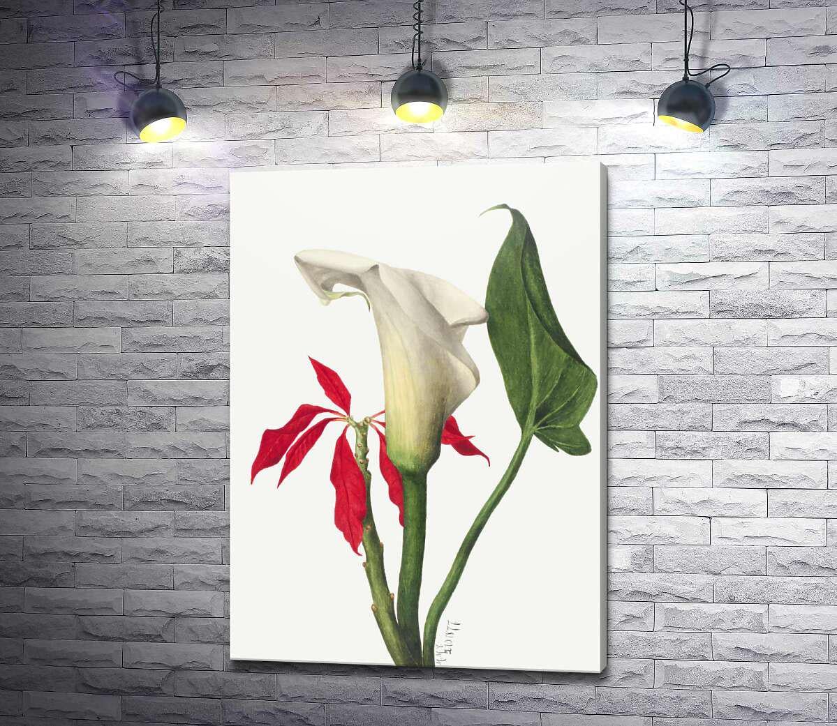 Картина ArtPoster Сдержанная калла оттененная красными листьями 93x130 см Модуль №1 (004285)