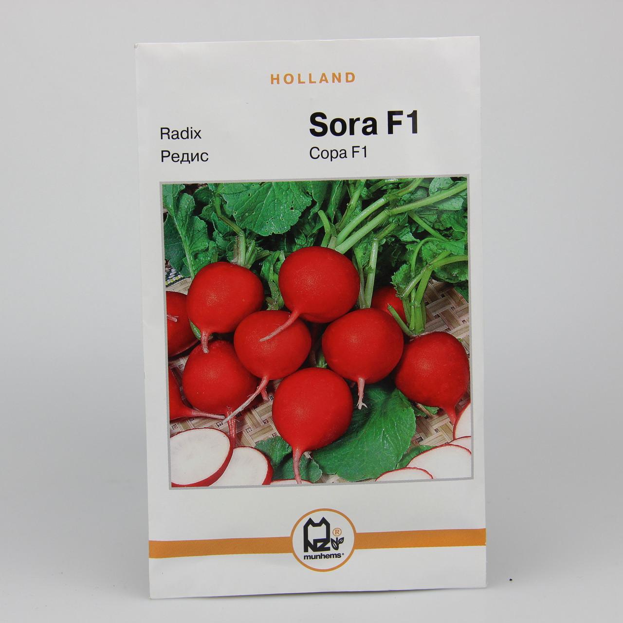 Насіння редису Сора F1 Holland 10 г (26985)