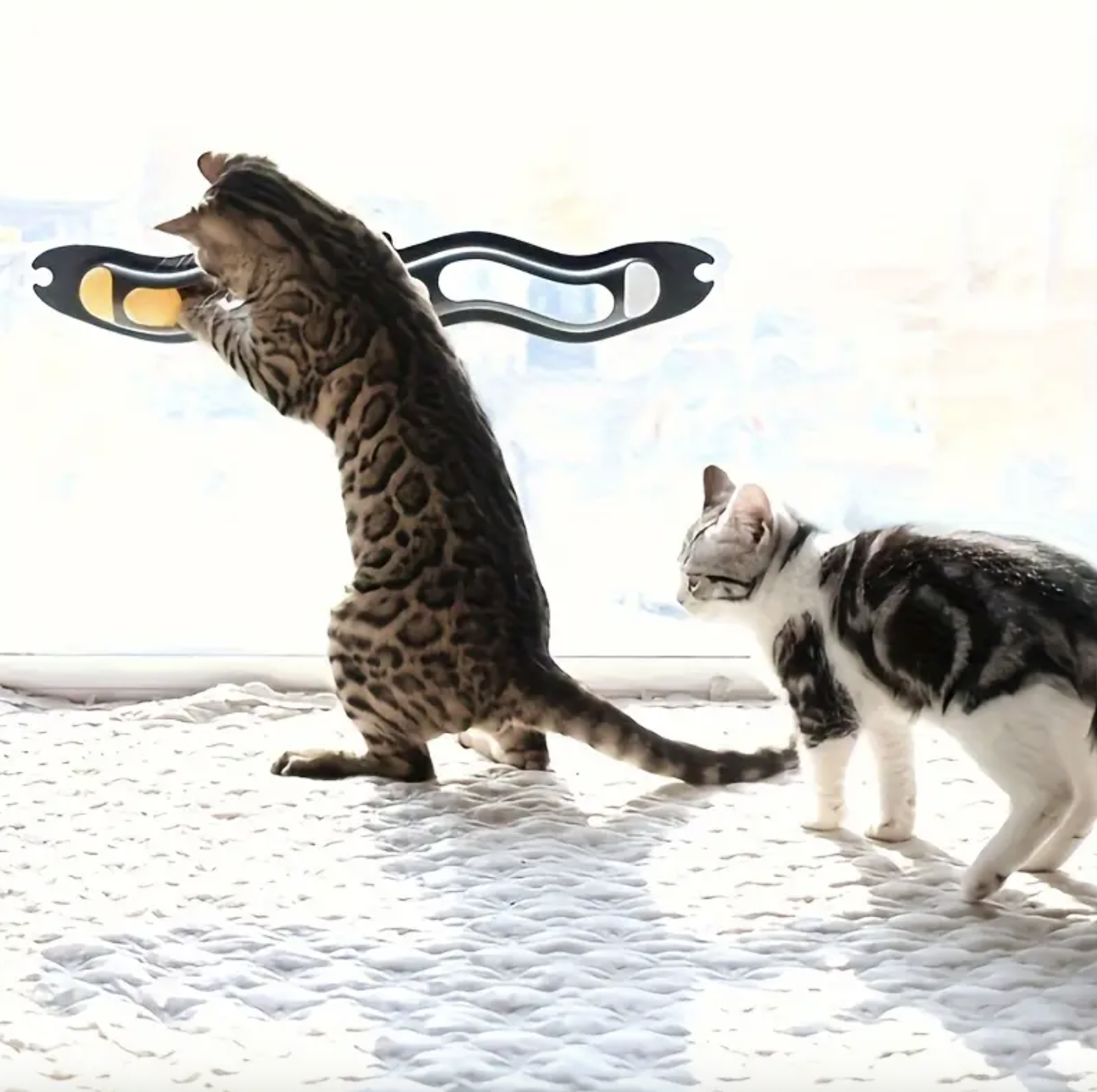 Іграшка для котів на вікна 57 см - фото 2 Іграшка для котів на вікна 57 см - фото 2