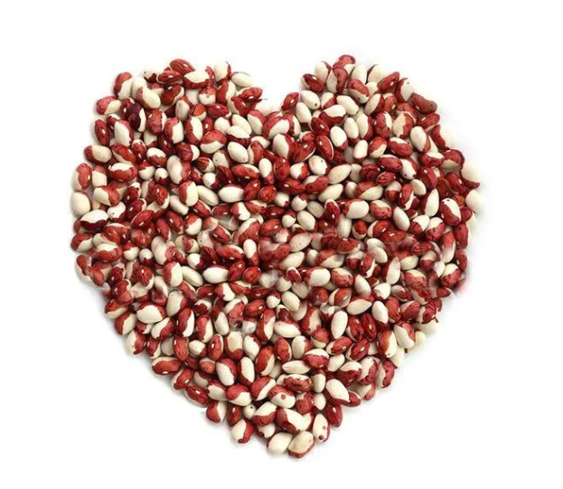 Насіння Квасоля Червона шапочка ТД Гекса-Україна 5017 50 шт. (IR02117)