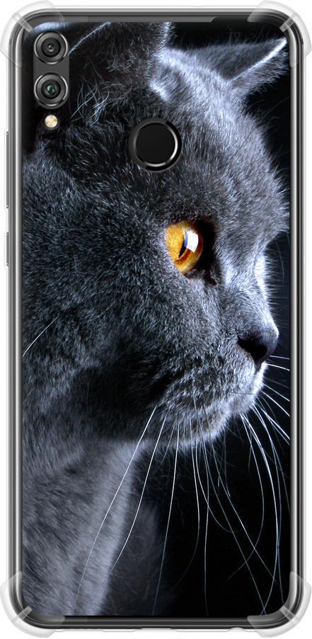 Чехол на Huawei Honor 8X Красивый кот (3038sp-1596-42517)