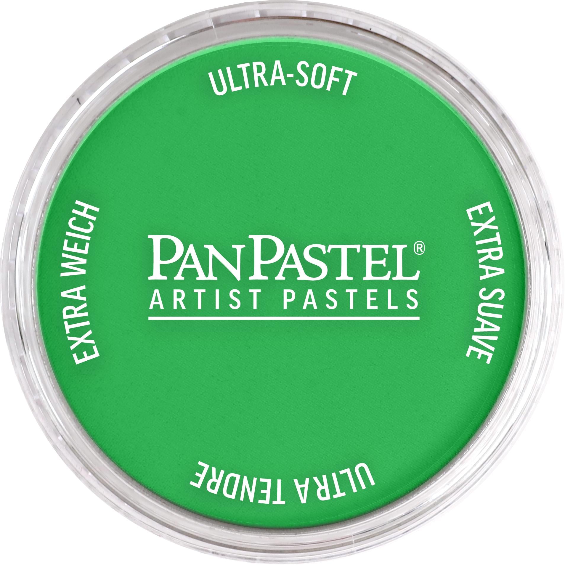 Пастель художня PanPastel 640.5 Permanent Green 9 мл (28769584)