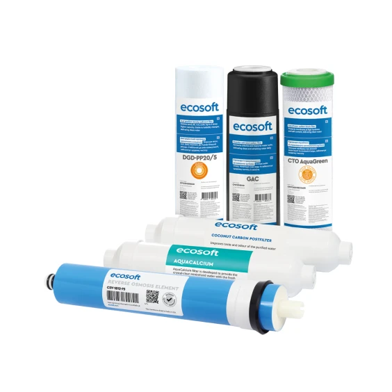 Комплект картриджей Ecosoft P'URE AquaCalcium Mint 12 месяцев (CHV6PUREMAC)