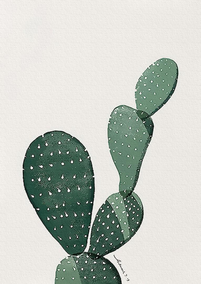 Картина по номерам Brushme Кактус Мехико 40х50 см (GT61235)