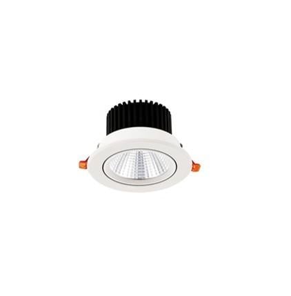 Світильник TS DL0320 WH LED 20 W 4000K Білий