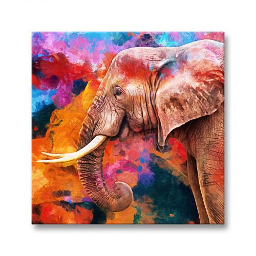 Картина Malevich Store Красочный Слон 35x35 см (KV0813)