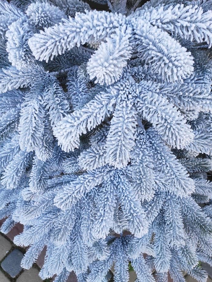 Штучна ялинка лита Буковельська засніжена з підставкою 2,50 м Зелений/Білий (NYT15287) - фото 3