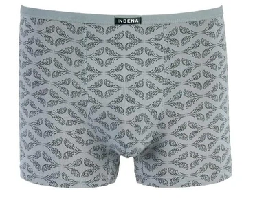 Чоловічі боксери бамбук Indea XL Сірий (205323)