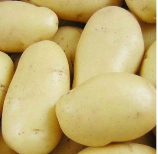 Набор картофеля 20 кг Орла 5 кг/Торнадо 5 кг/Сенсейшн 5 кг/Кристина 5 кг I репродукция (32464613)