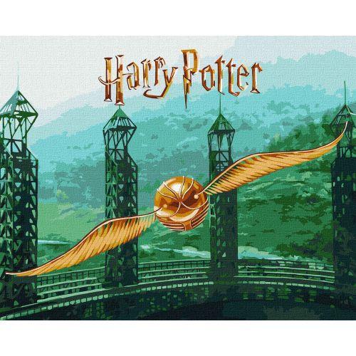 Картина по номерам с красками металлик Harry Potter Золотой Снитч 40х50 см (2987506408)