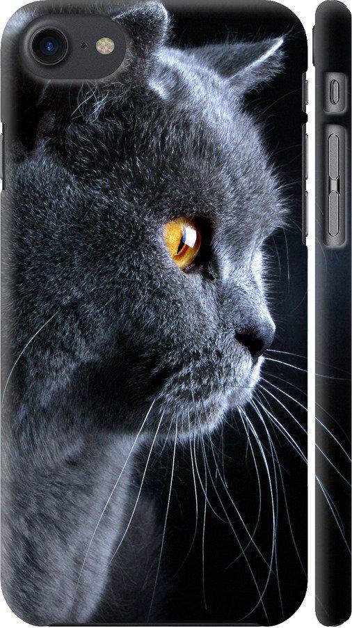 Чехол на iPhone 8 Красивый кот (3038m-1031-42517)