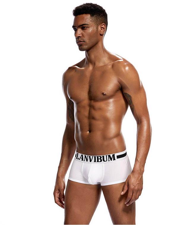 Трусы Lanvibum M Белый (4511)