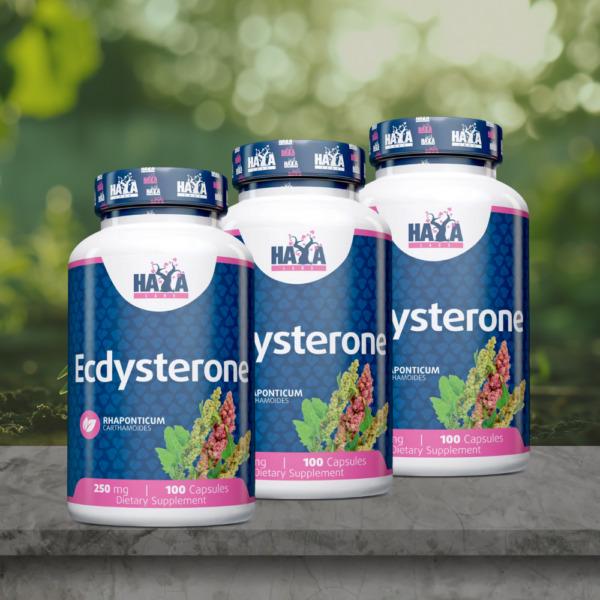 Экдистерон Haya Labs Ecdysterone 250 мг 100 капсул - фото 4 Экдистерон Haya Labs Ecdysterone 250 мг 100 капсул - фото 4